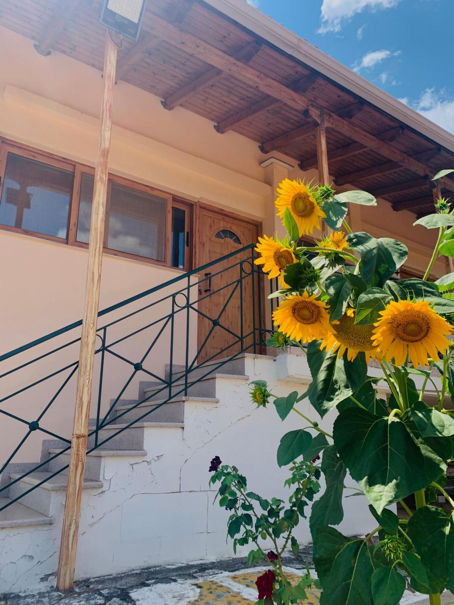 Bokas Exotic House Apartment Tragana  Exterior photo